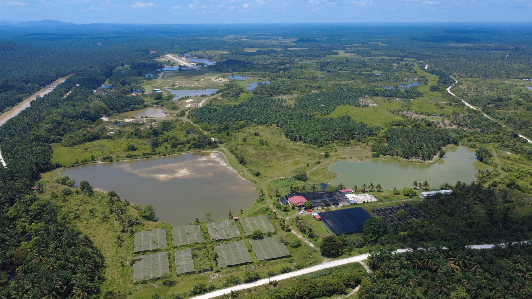 Aerial view of the OEH Agrihorti plantation, showing the fish ponds, nursery structures and surrounding palm groves